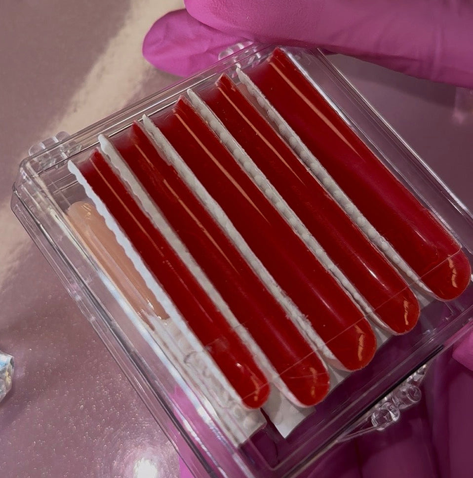 Red Bottoms x Croc Frenchies 🐊